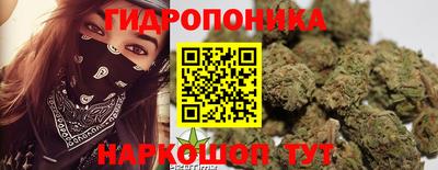 2c-b Бийск