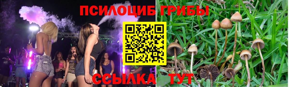 Псилоцибиновые грибы мухоморы  как найти закладки  Качканар  Вход с VPN 